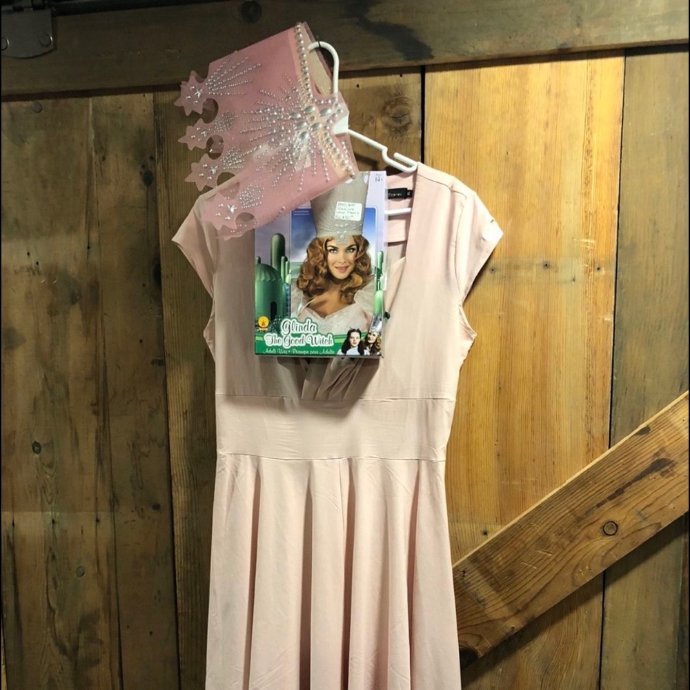 Glenda the good witch costume XL crown,dress,overlay,wig, wand, shoes size 8